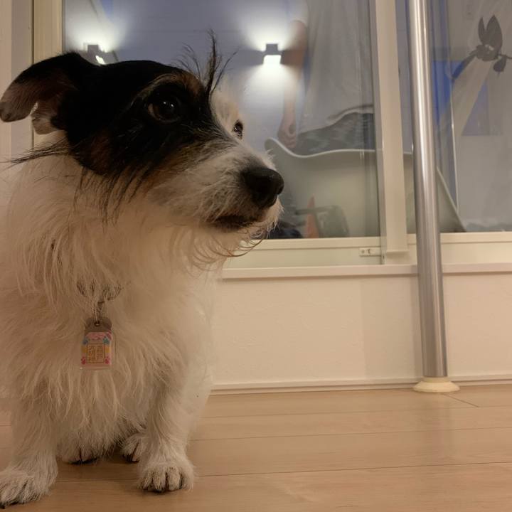 073f16e4 41a2 4b09 a188 a39986b90da2 1662110968930