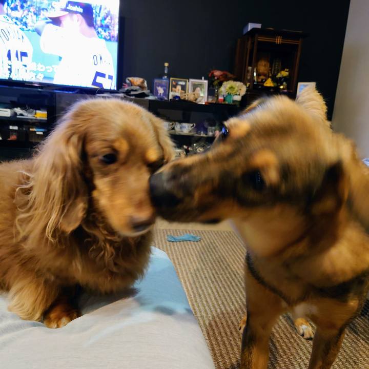 073f44c2 37d5 4a06 9908 6bc89516d4e0 1699573755943