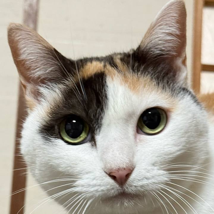 073f8866 53d1 4bd1 8f40 2149aed53b75 1766193095576