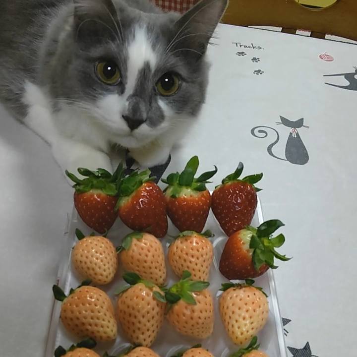 073f8a5d 6eba 4aac 8292 ac81e80fb22e 1575457672447