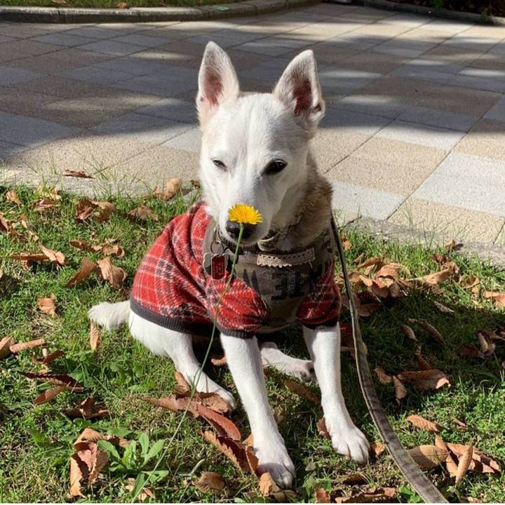 073fa04a 0949 460c 9d41 e3975fb4475a 1762815510233