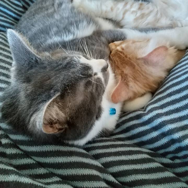 073fb39e defd 4a3e 9634 586e1a9b8063 1613175466459