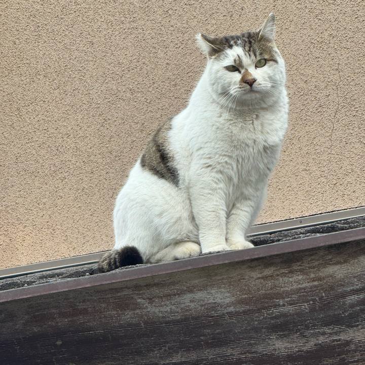 073fc2bf bb00 4baa 846b aabd3bbf8765 1771900466824