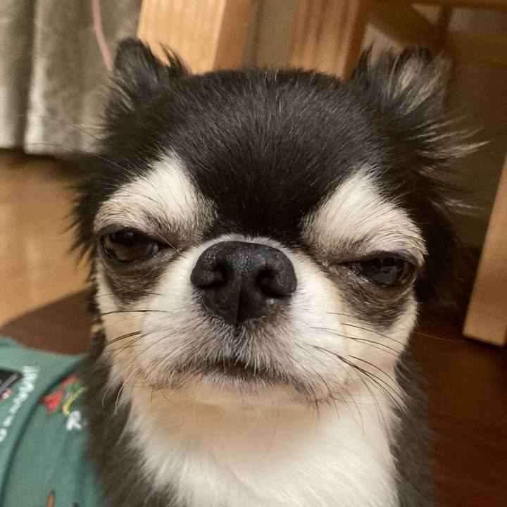 073ff7e0 028c 4a1b a073 8f08fbc8ae74 1697374931934