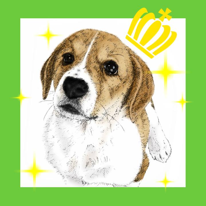 0740099d 92fa 4e13 87a7 d731ca64f7d5 1592402279901