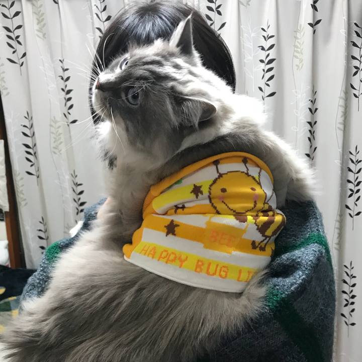 074079d1 aed7 4dfd 8f75 c6ff9d682e4f 1517748900457