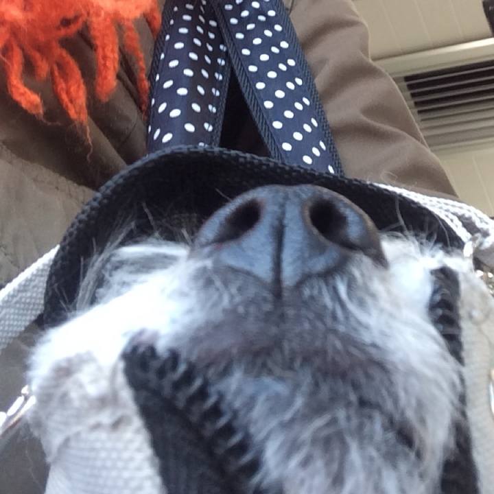 07409c4e 8bd7 4c6a a1da e5dd2f55012a 1769991376601