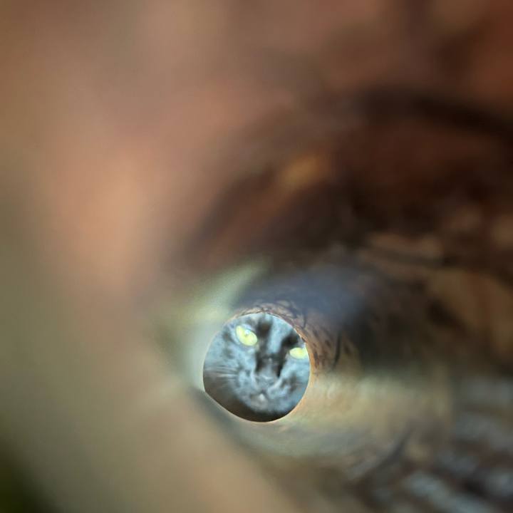 0740b09a 6057 4b9a a165 eb744c548f55 1686371057896