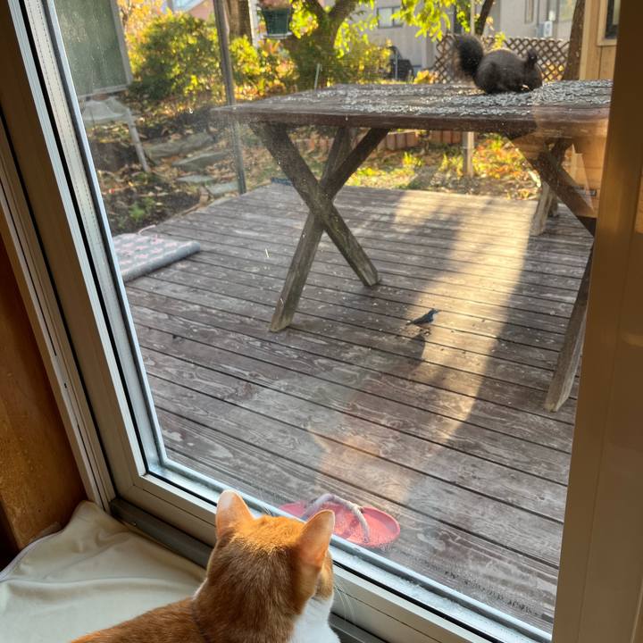 07411039 bc29 4b3f 8420 79a873bf6a8c 1698704468441