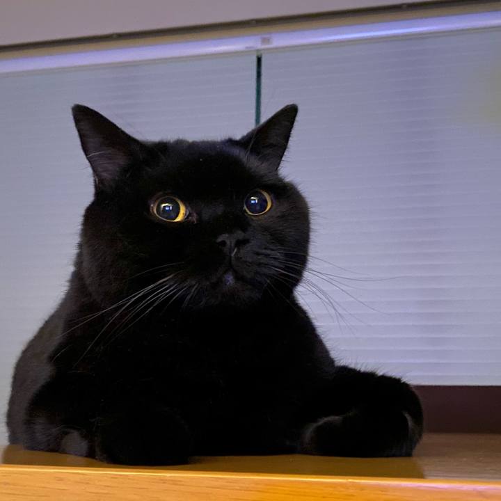 0741461b e1cd 48ab a003 86869c2e2fb5 1691846962143