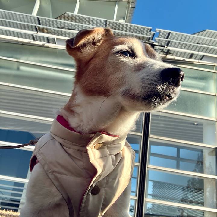 07417710 ac3f 470d 965b f0705999b810 1704104899063