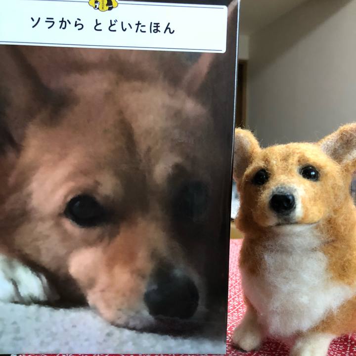 0741c3e0 51b9 4df6 aeb0 8c255a9edffc 1530952490496