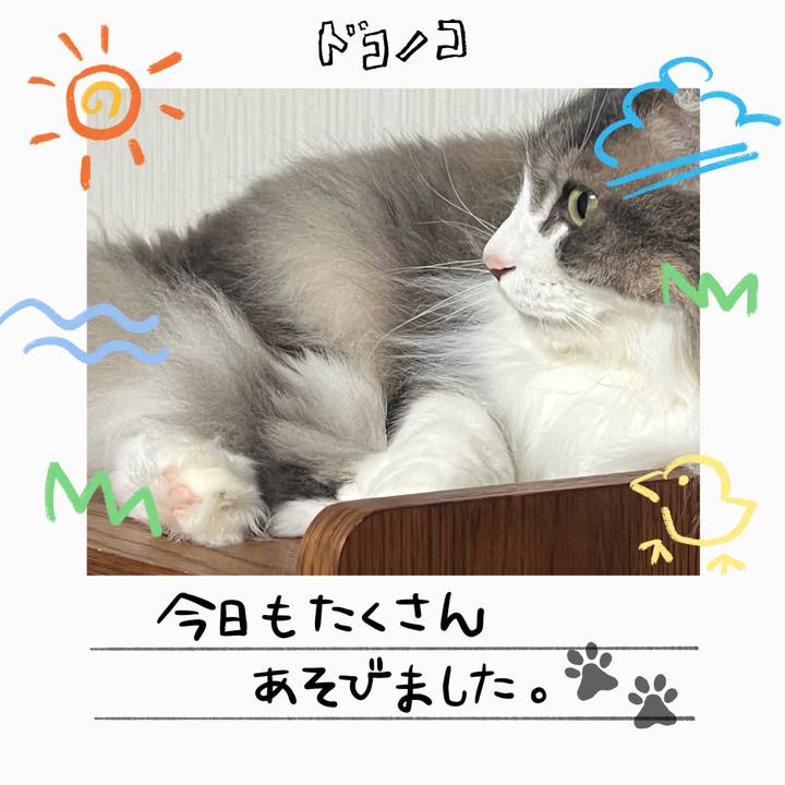 0741d876 0274 417f a26e 94ab7adbc8f5 1755266789863