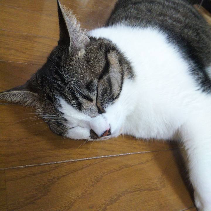 07423659 b20b 46db 9ca7 49a7a8a5ffa6 1663285997612