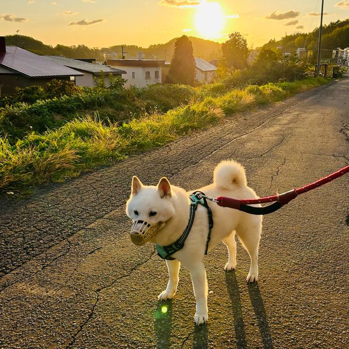 07423e46 051c 4549 b7b7 1250fc205d56 1696974324763