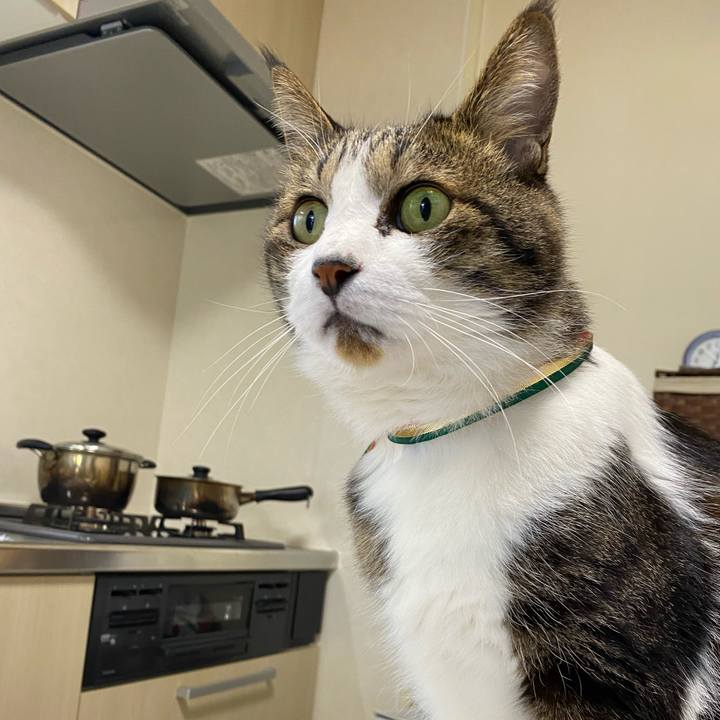 07424051 9fc4 4fbf b738 38d7846a9ac7 1638177711472