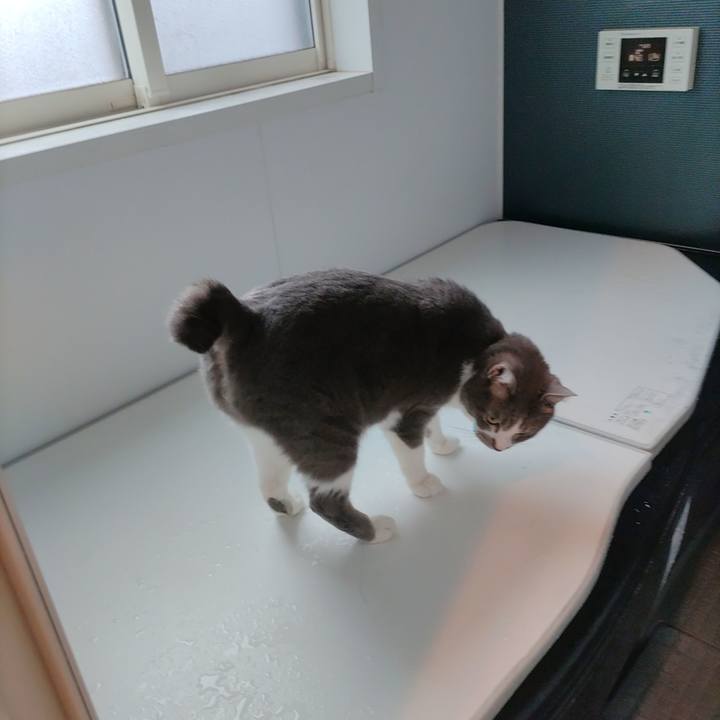 07425d1d d5fe 40ae 9720 30df54ce09dd 1712180706192