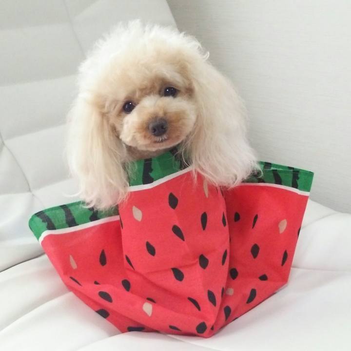 07426470 71cb 41c6 9e4a 96b160a196dc 1529451699467