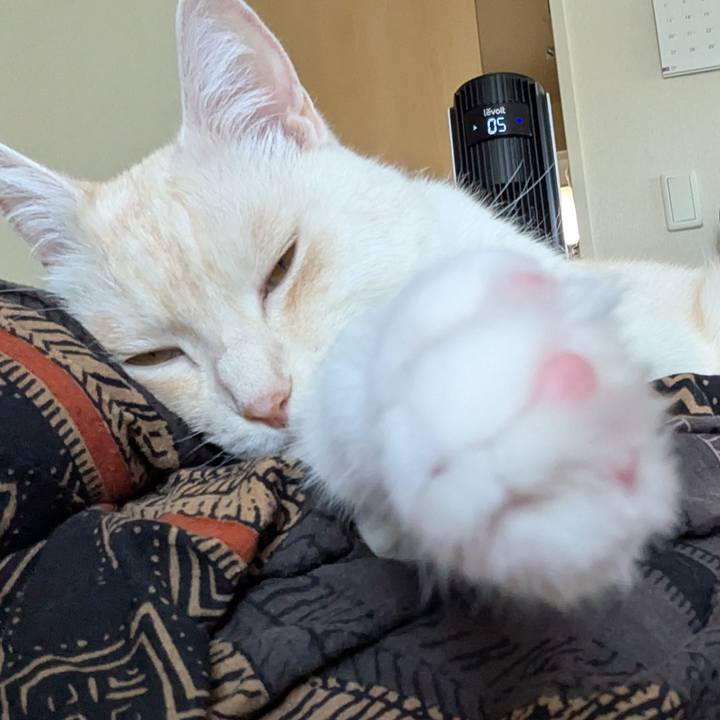 07427b22 6eed 467f 8ea0 04782c7220b0 1753508383644