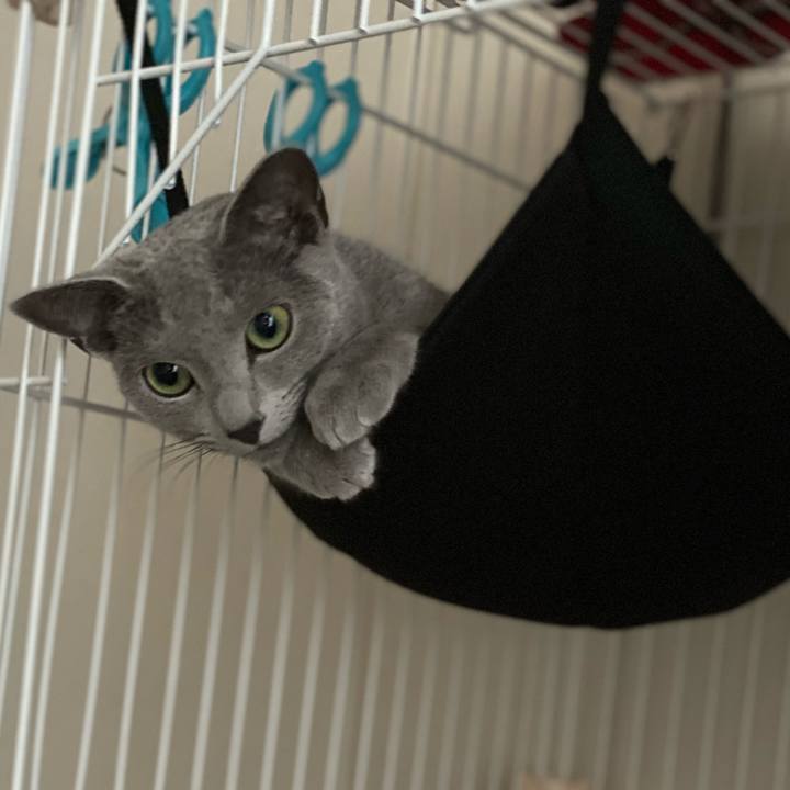 07428548 77a3 4d50 9e6d 8f39e7eaffb4 1624516858213