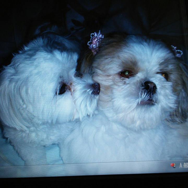 0742b03b d6c6 46b6 8835 0949da1f5eba 1522306069295