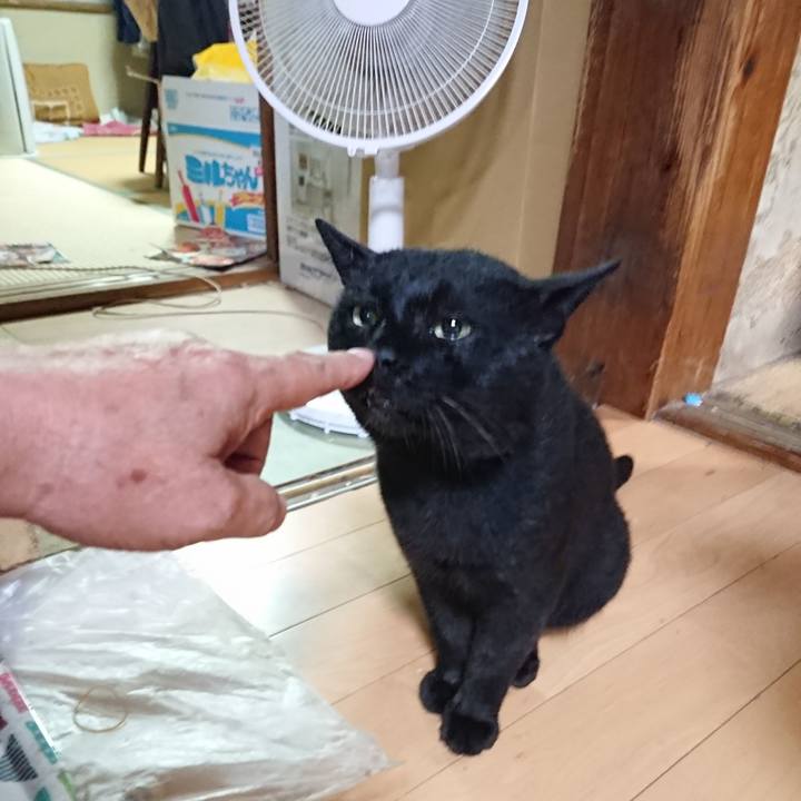 0742b49a e310 4dac bf12 29deec13c5b2 1629890336966