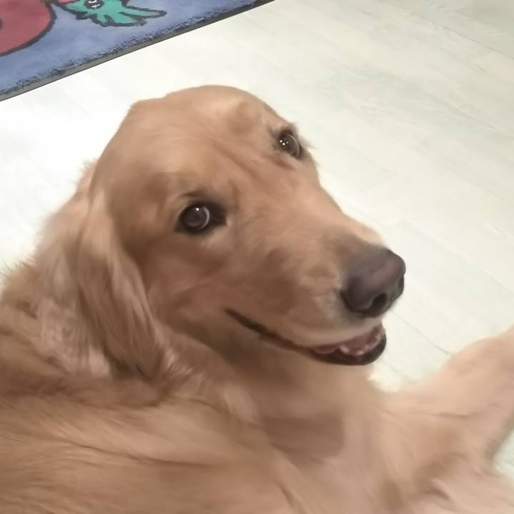 0742c248 59e1 4bae bf9e 3be354e34840 1531500205928