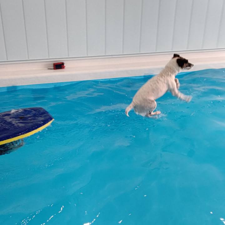 0742c734 3ad3 4528 b94a e645e28eb14a 1689463501617