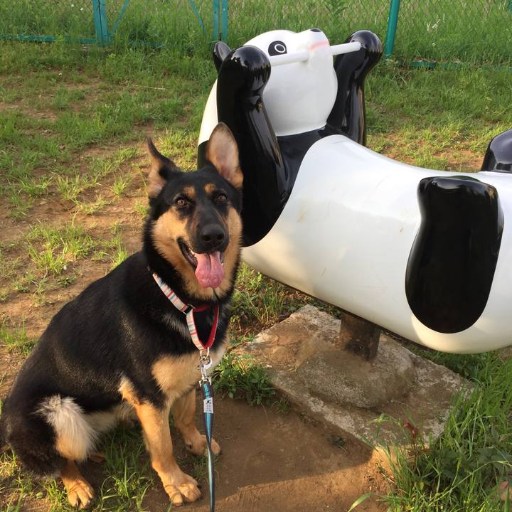 07430099 7db1 4a28 9a9d 8a81f234664d 1525213876020