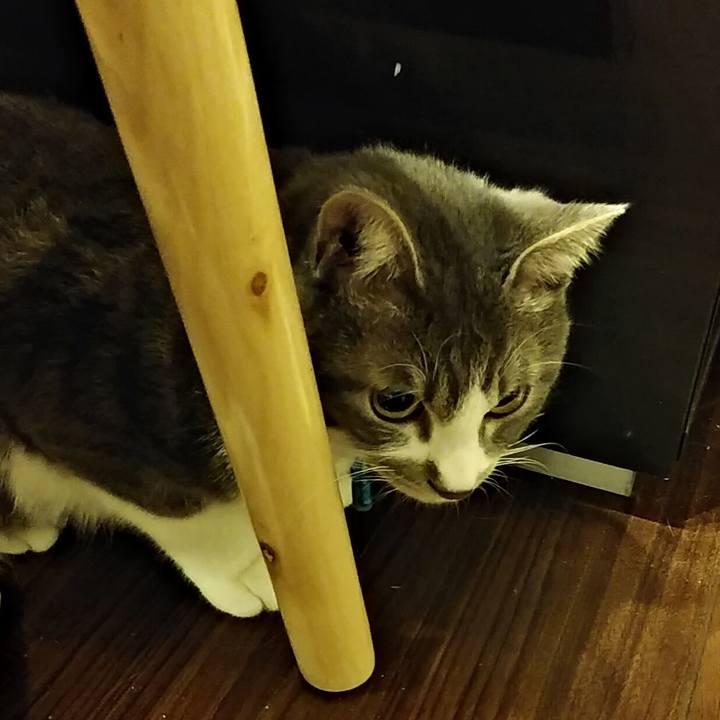 0743b73b 51be 4625 b1c8 5d515fb2d674 1585404094506