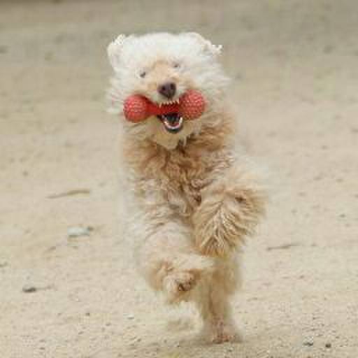 0743fb7f fdd1 4bfc b2b7 c219ee3cbe54 1589463305175