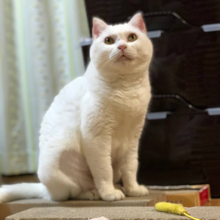 0743fc94 511e 4597 b795 c9d2115c90f0 1569762669859