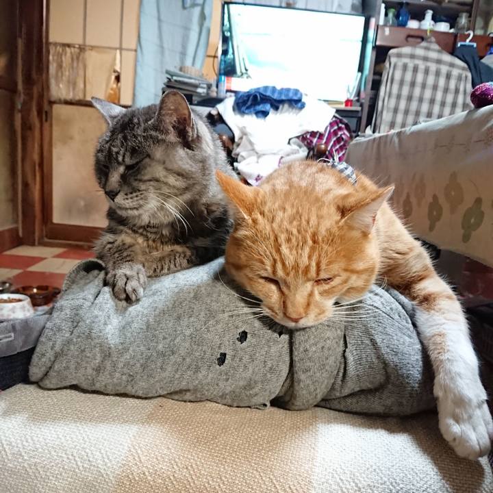 07440940 9047 41e4 86bf db74d1313815 1576230544957