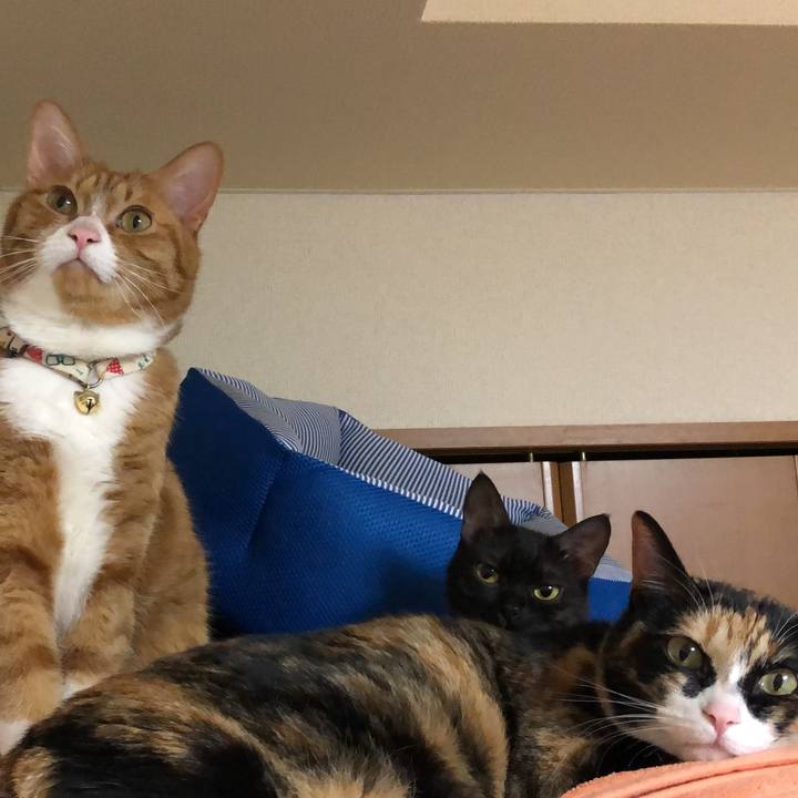 07442a80 2f6a 4fb1 b33b 4978933ffaf4 1661058727907