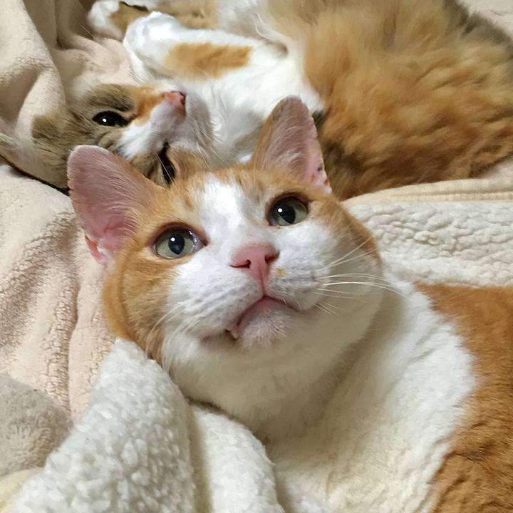 0744609a 9317 4a6a 8d85 016d0f3f77fb 1593415004651