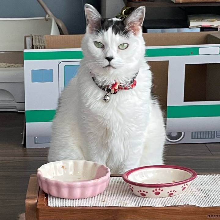 074463c6 ea33 4a6e 8f70 e4f144f69797 1748750853715