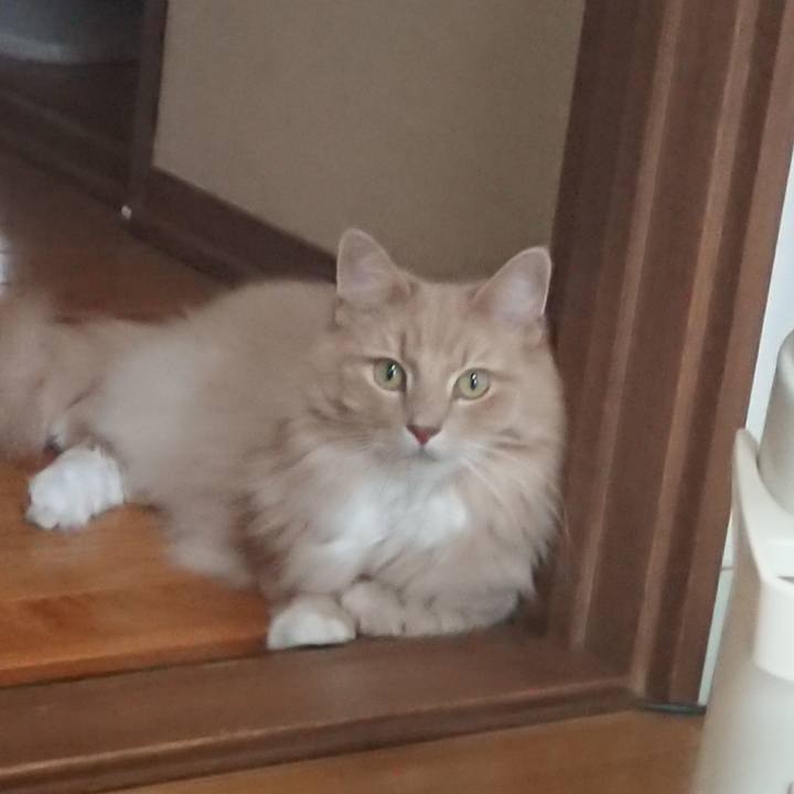 0744823c 5351 4cc9 8168 b22be8731c4a 1534827701556