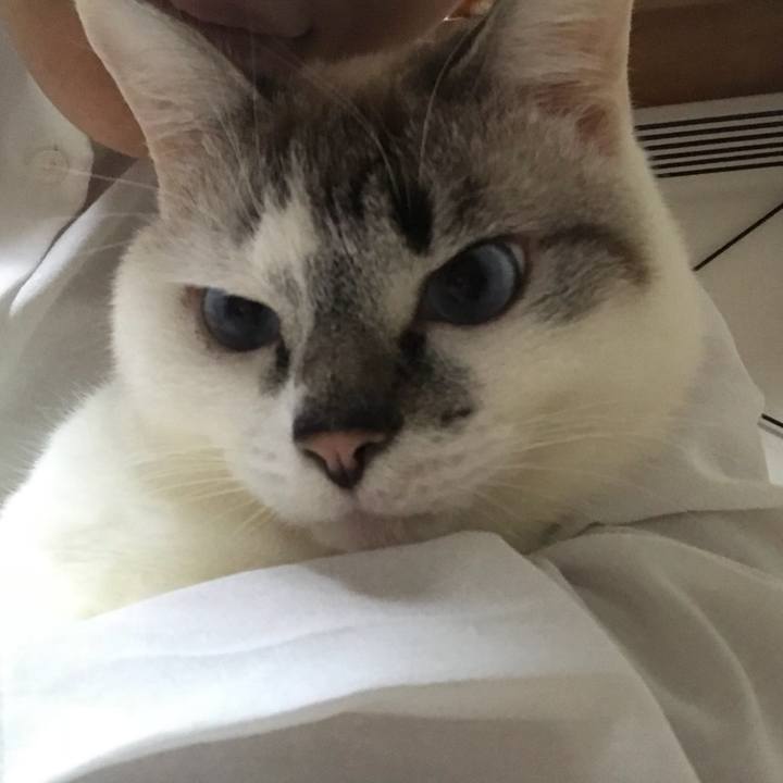 0744bfa2 a0b9 42a3 af0e c2e7dc3588cf 1520767569023