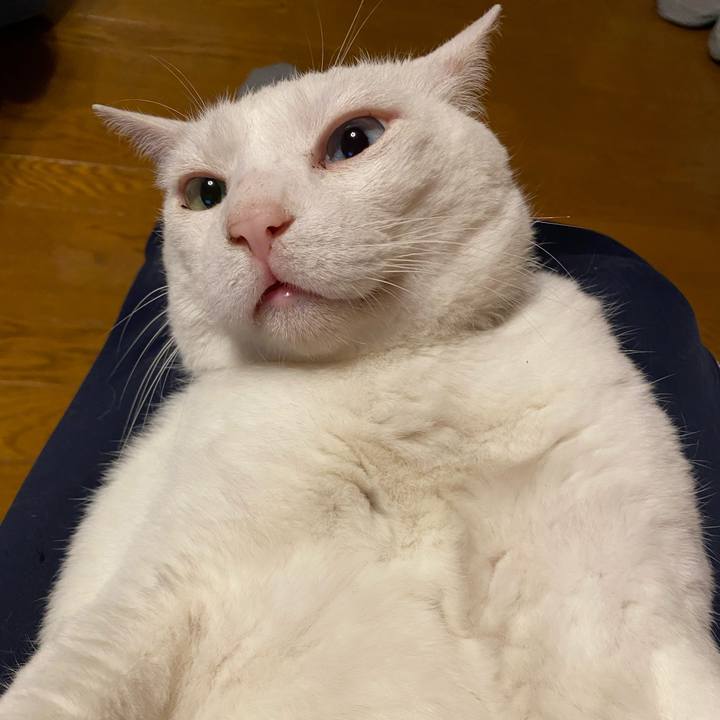 0744daab 9abe 412a a62b 055c2943f285 1591785409400