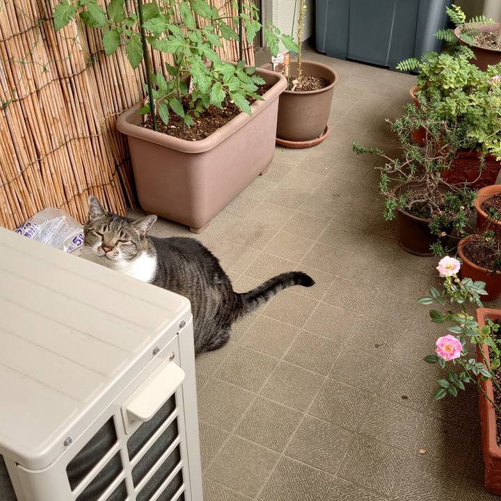 0744daba df0a 4654 b8ea e110b05eaabb 1622068392370