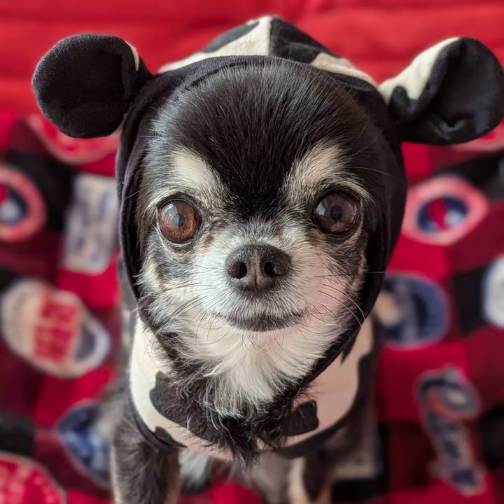 07452534 847d 48de adcf 3e3b1a9574b6 1776725228539