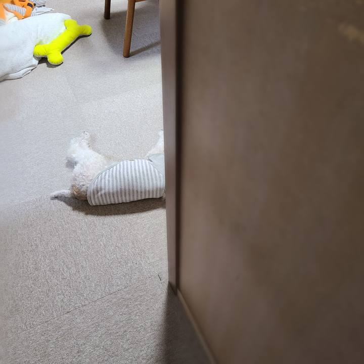 07452a01 2ae2 4304 b132 cbabcb79da39 1689833895103