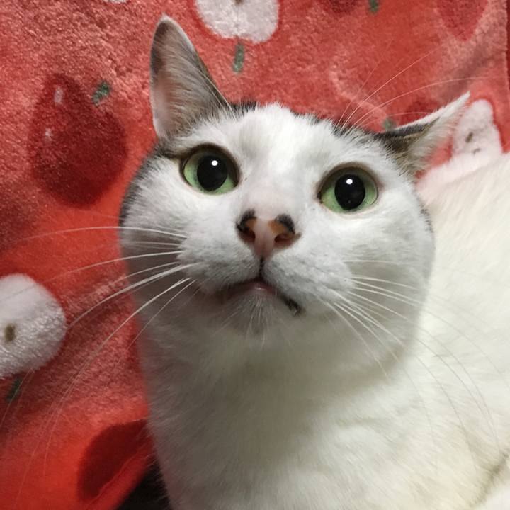 0745757a 3b5f 4209 a321 d7f67c01f5f9 1513344538721