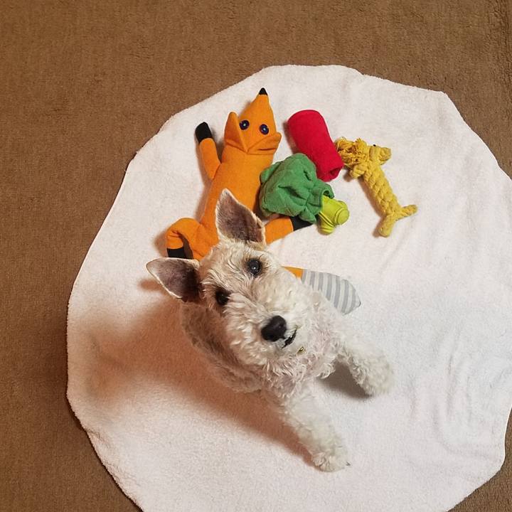 07457b26 c487 4101 bbb5 59c9336dda5d 1554384189993