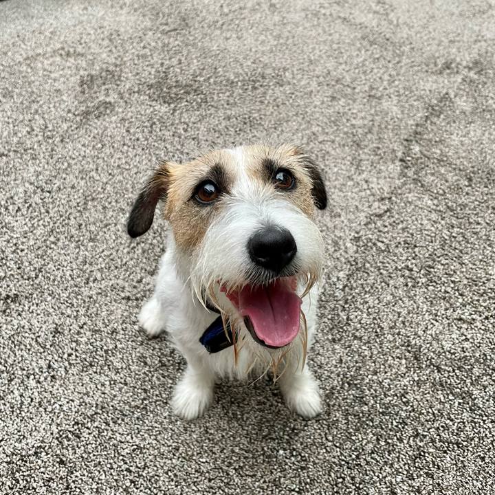 07457bcc 1cfb 4e28 b1c8 1fec20a15273 1656846291154