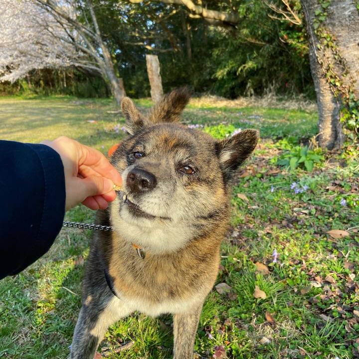 07457e93 d8fe 4899 af13 c5effcf2e743 1617416552203