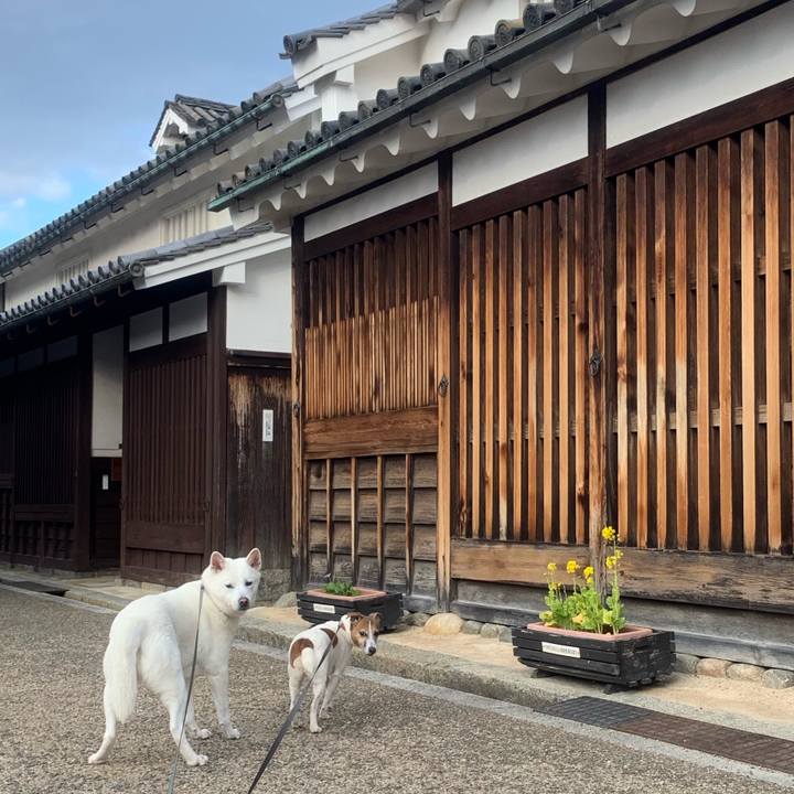 07458995 2868 4a1a aa28 ca5cc12cfd7a 1546394255187