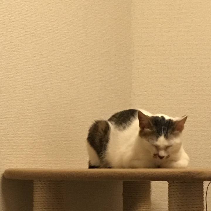 07459101 4efa 49e6 9a0f dbd5668dbd4d 1509207582127