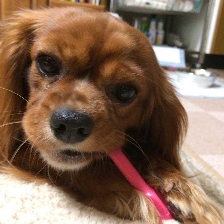 07459d17 f1db 4b57 a4d6 b6130658be11 1519942493038