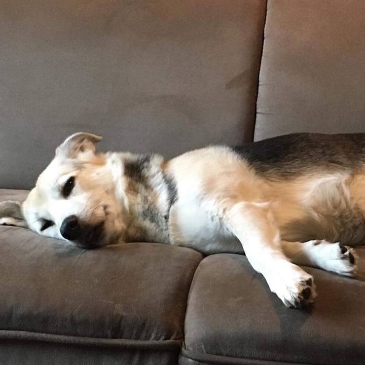 0745b662 438d 40b4 8f0d b8f793f41c17 1518317723688